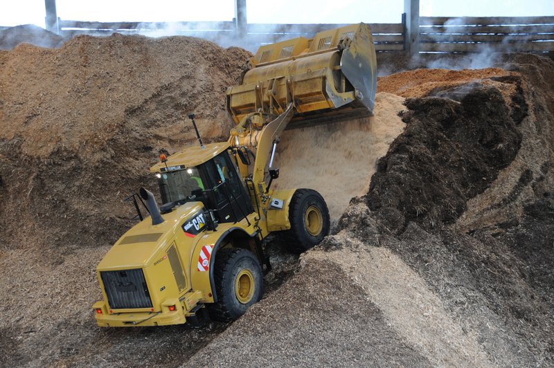 Energie aus Holz statt Erdgas